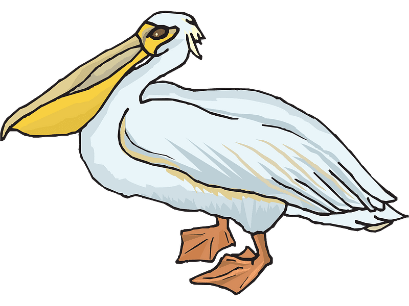 Pelican Transparent Clipart Free