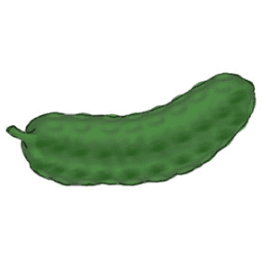 Pickle Clipart Pictures