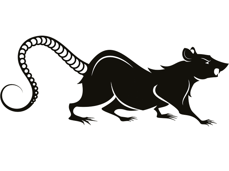 Rat Clipart For Free