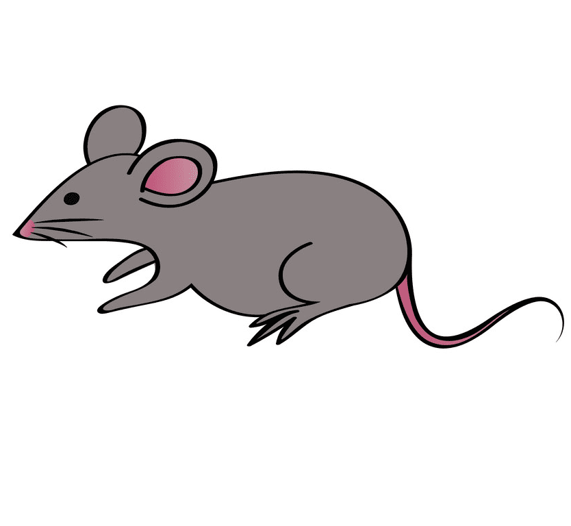 Rat Clipart Free Picture