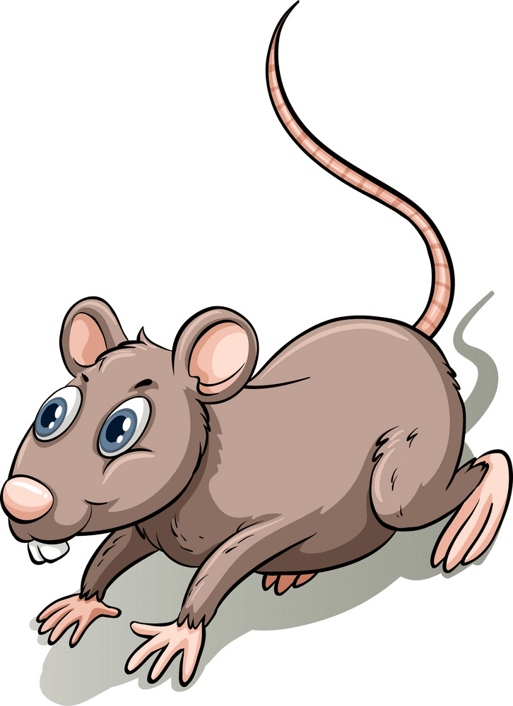 Rat Clipart Free Pictures