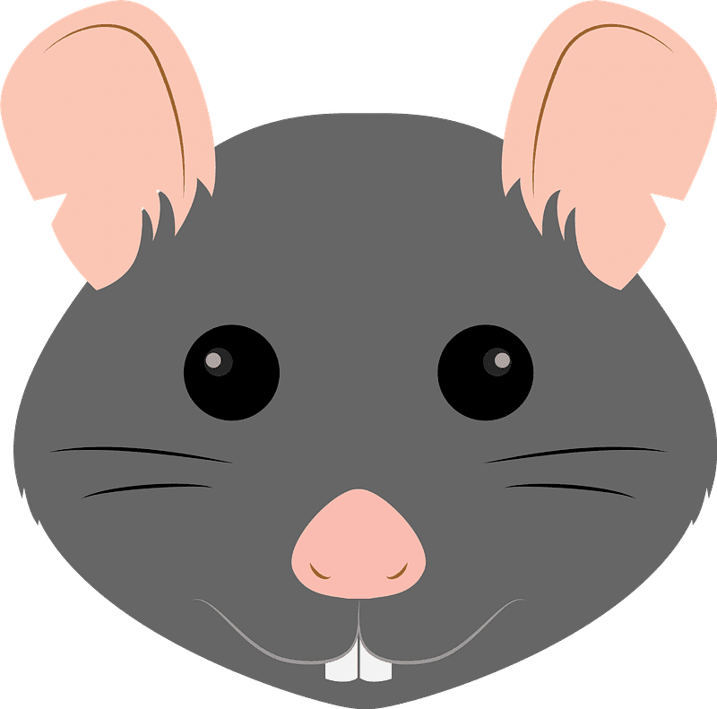 Rat Face Clipart Transparent