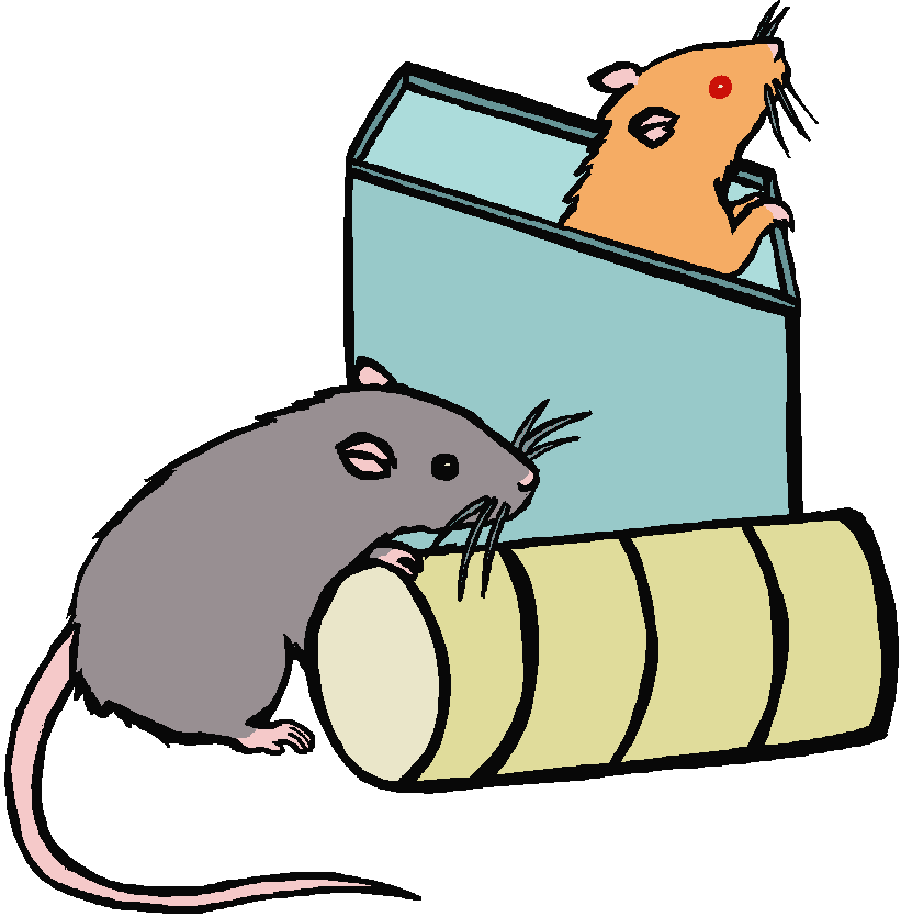 Rats Clipart