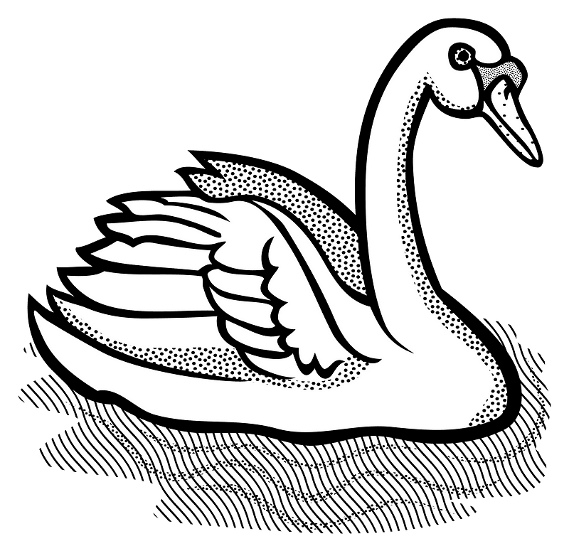 Swan Clipart Black And White
