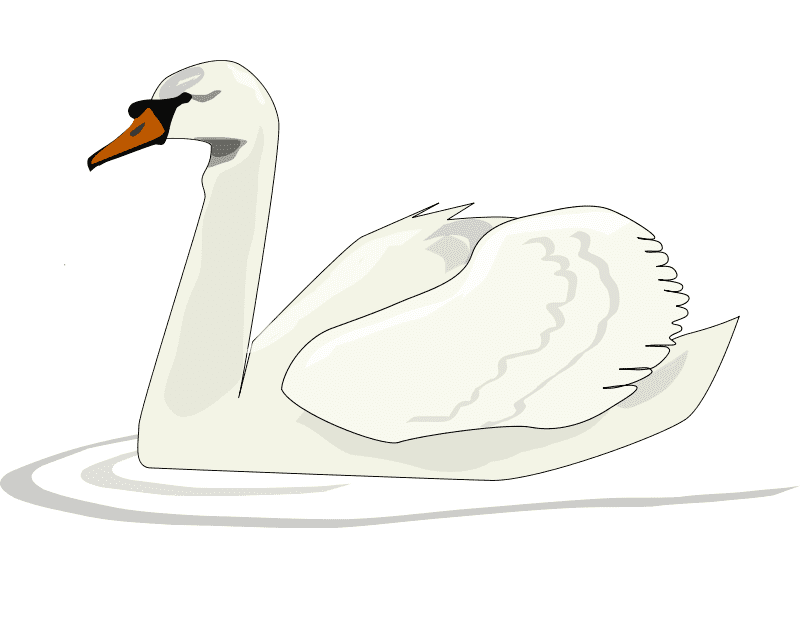 Swan Clipart Free Image