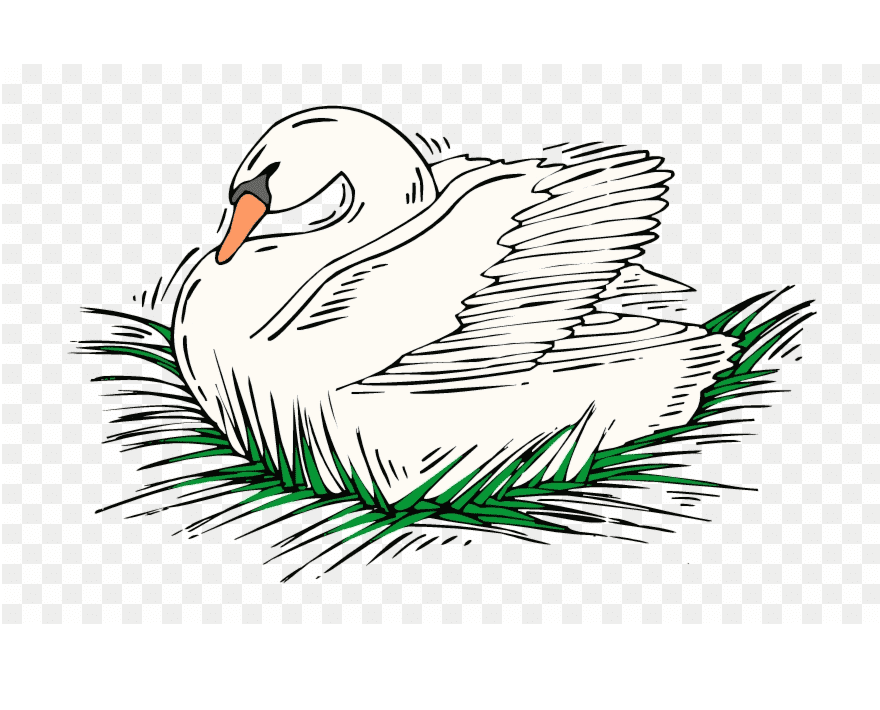 Swan Clipart Free Png Image