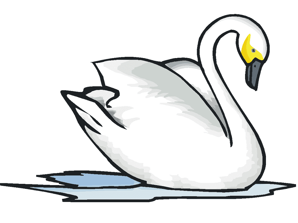 Swan Clipart Image