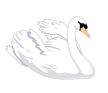 Swan Clipart Images