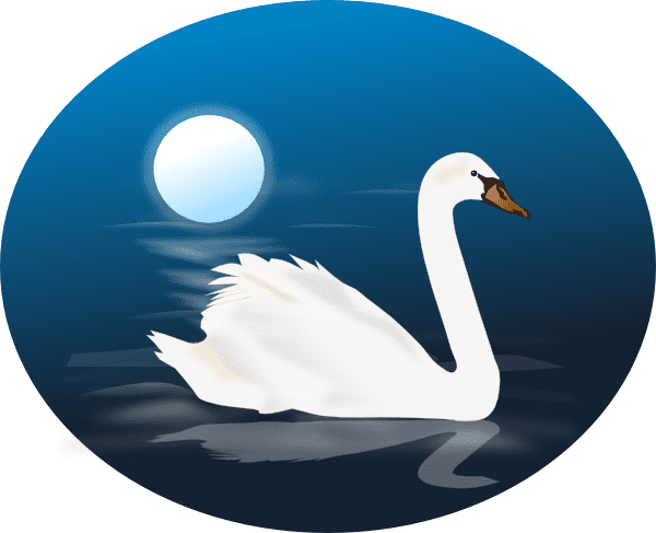 Swan Clipart Picture