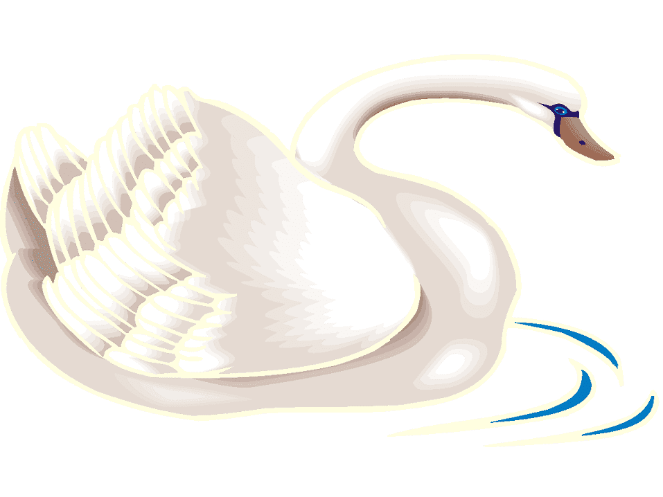 Swan Clipart Pictures