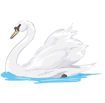 Swan Clipart Png Free