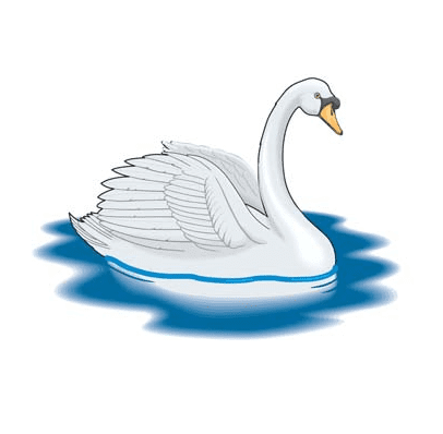 Swan Clipart Png