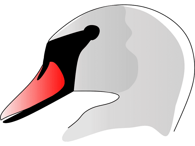 Swan Head Clipart Transparent