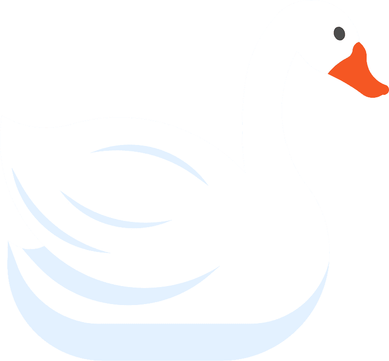 Swan Transparent Background Clipart