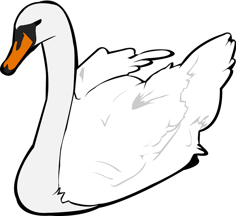 Swan Transparent Clipart