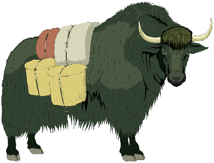 Yak Clipart Pictures