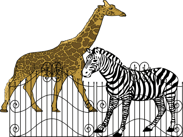 Zoo Animals Clipart Png