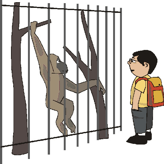 Zoo Clipart Free Image