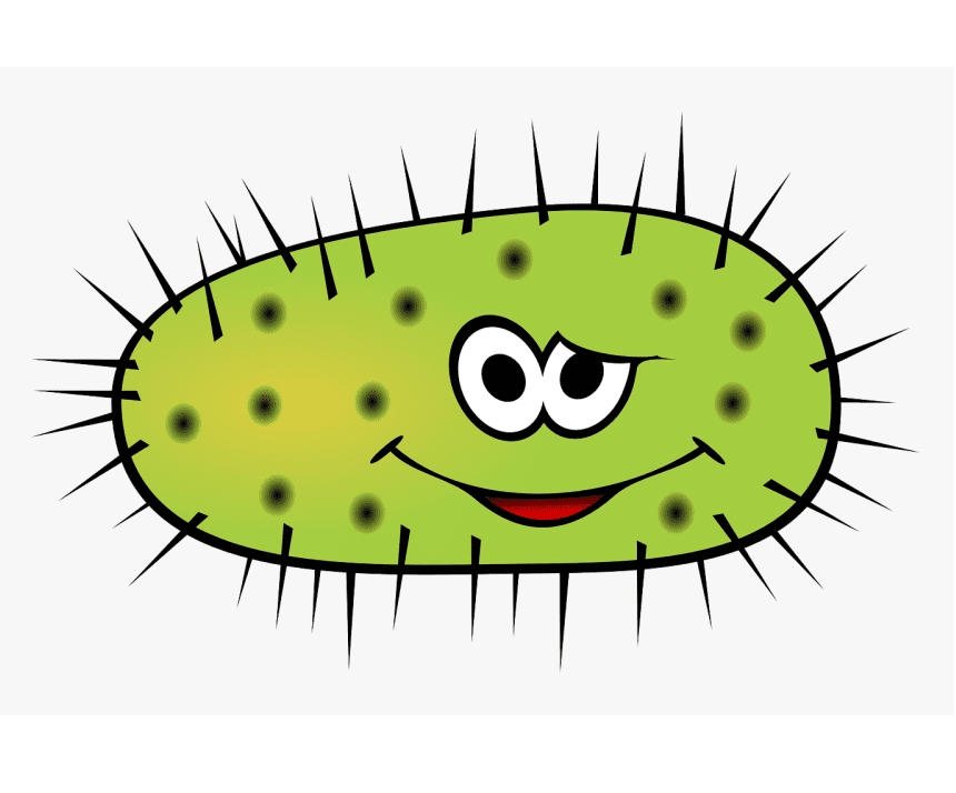 Animated Bacteria Clipart