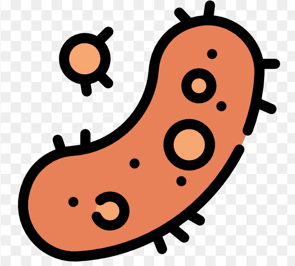 Bacteria Clipart Picture