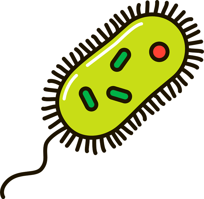 Bacteria Clipart Transparent Download