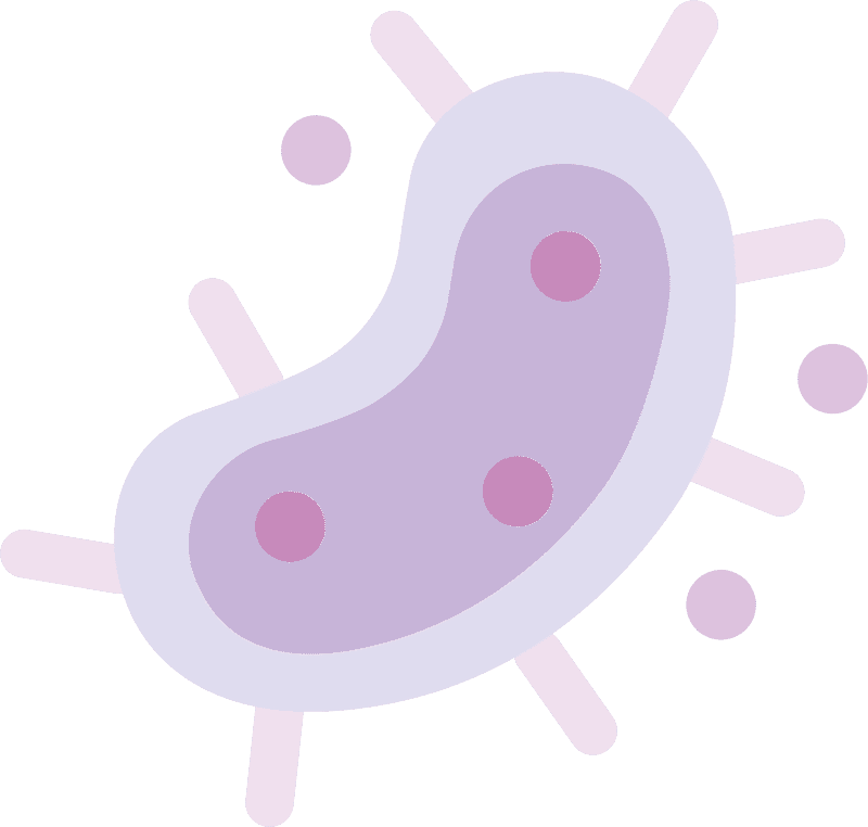 Bacteria Clipart Transparent Image