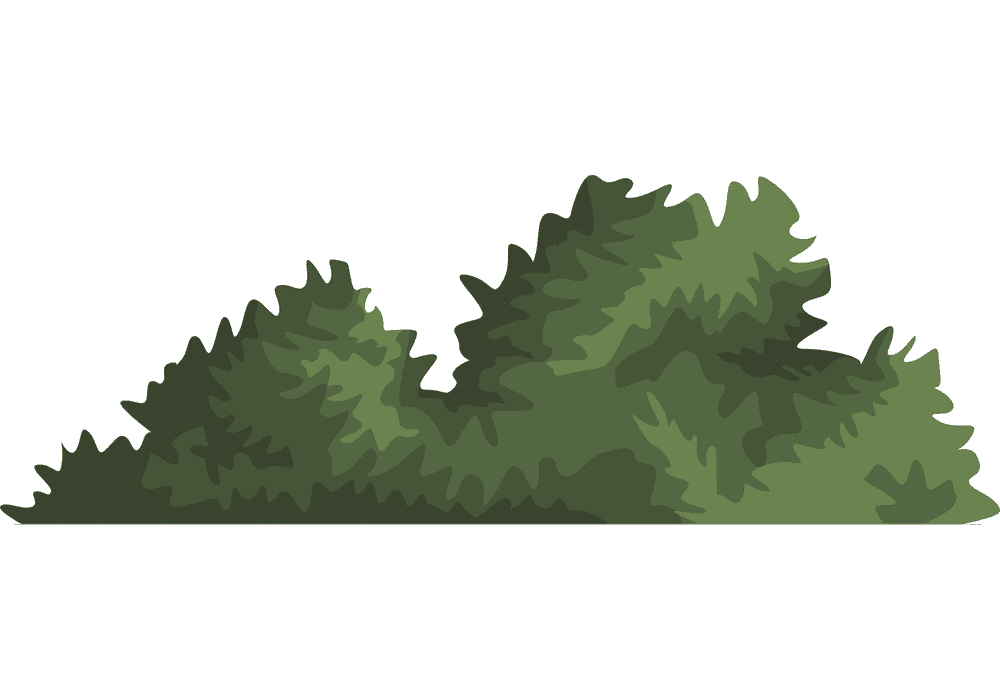 Bush Clipart Png For Free