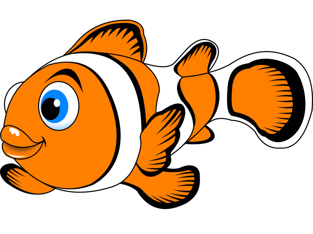 Cartoon Clownfish Clipart For Free