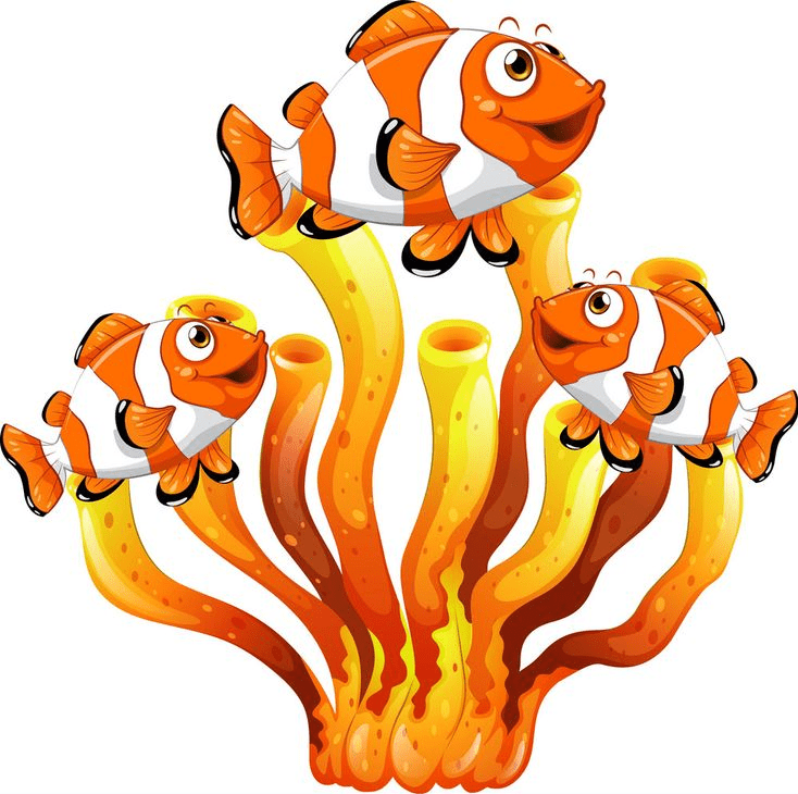 Cartoon Clownfish Clipart Png