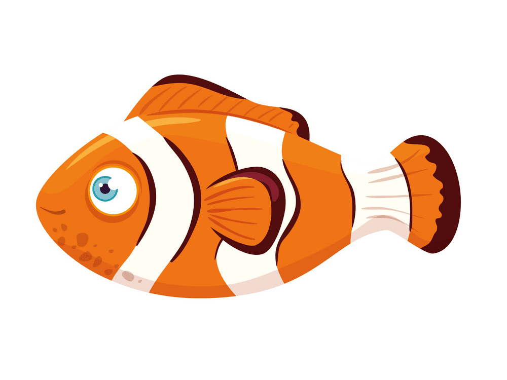 Clipart Clownfish Png Images