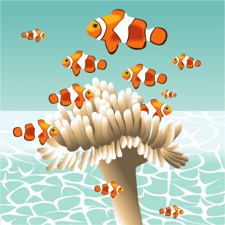 Clownfish Clipart Free Image