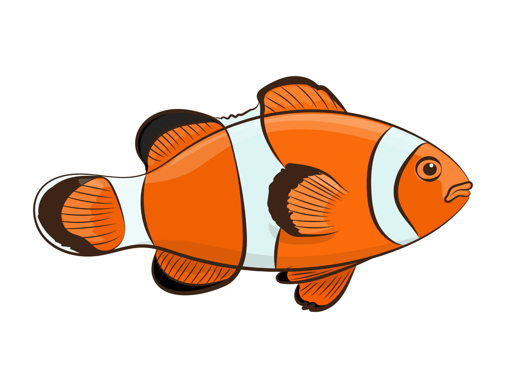 Clownfish Clipart Free Png Images
