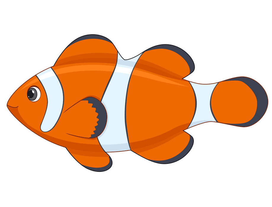 Clownfish Clipart Free Png Pictures