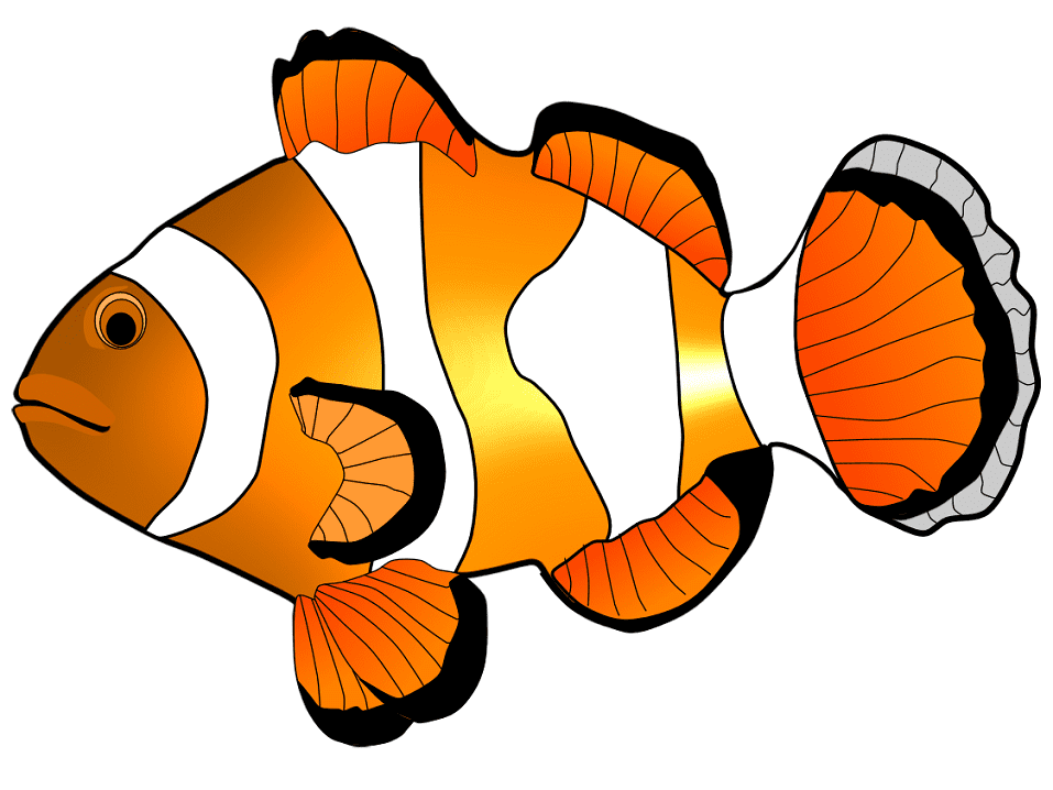 Clownfish Clipart Image