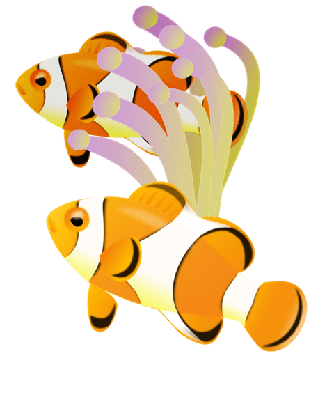 Clownfish Clipart Png For Free