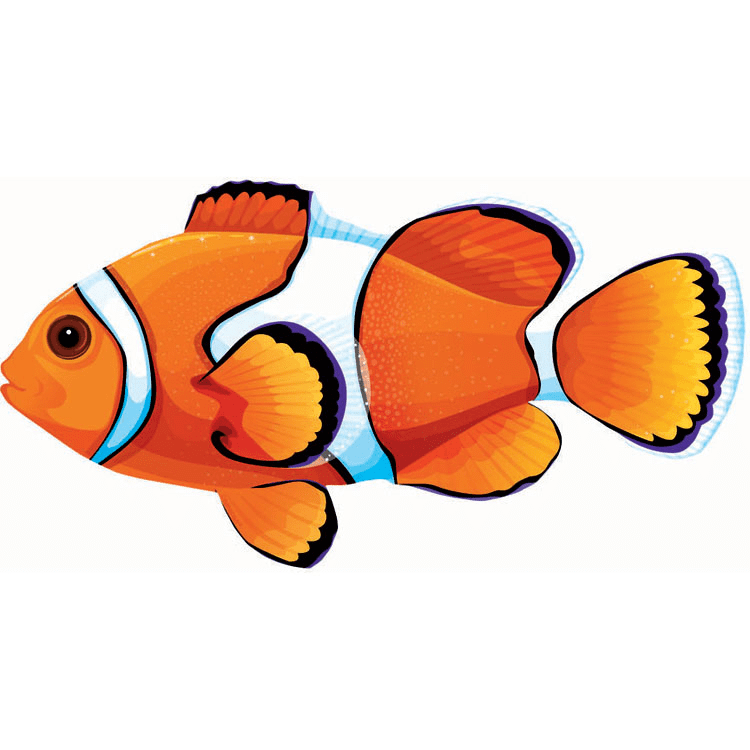 Clownfish Clipart Png Images