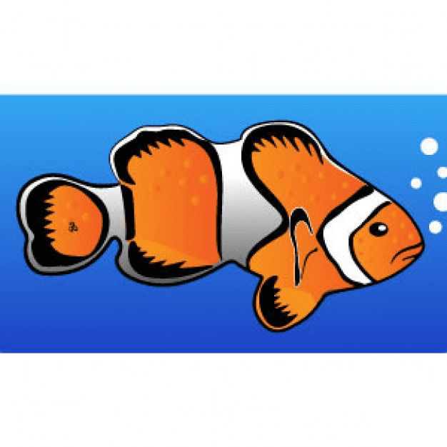 Clownfish Clipart Png Picture
