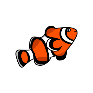 Clownfish Clipart Png