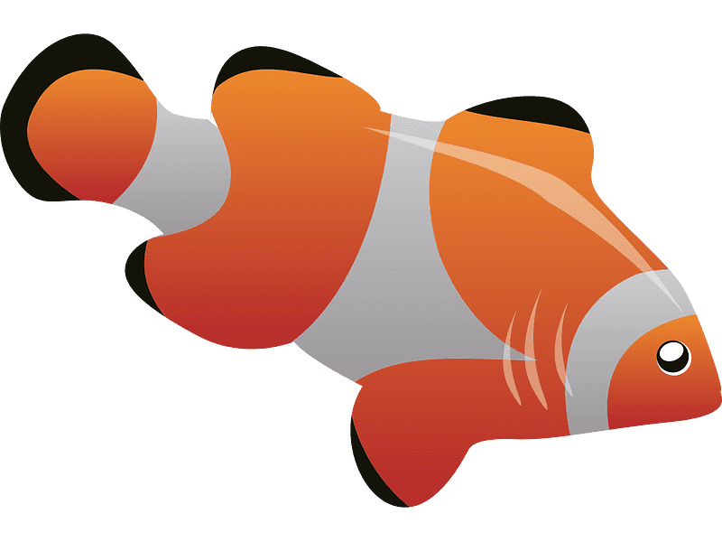Clownfish Clipart Transparent Free