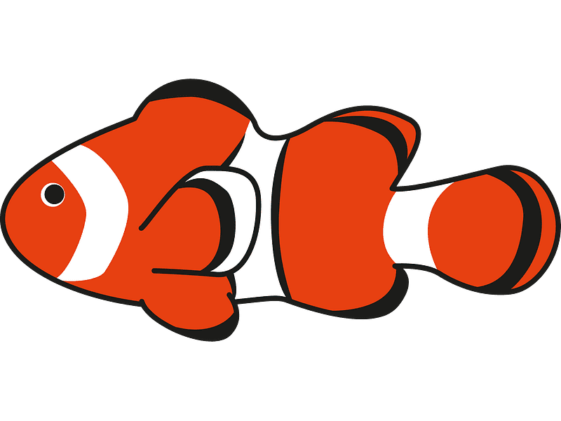 Clownfish Clipart Transparent Image