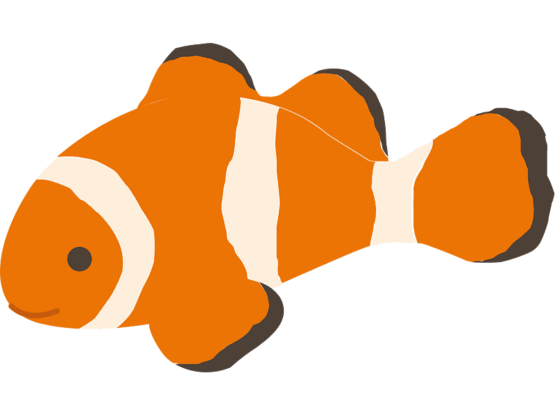 Clownfish Clipart Transparent Images