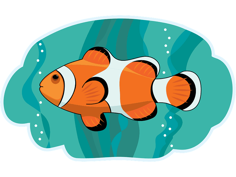 Clownfish Clipart Transparent Pictures
