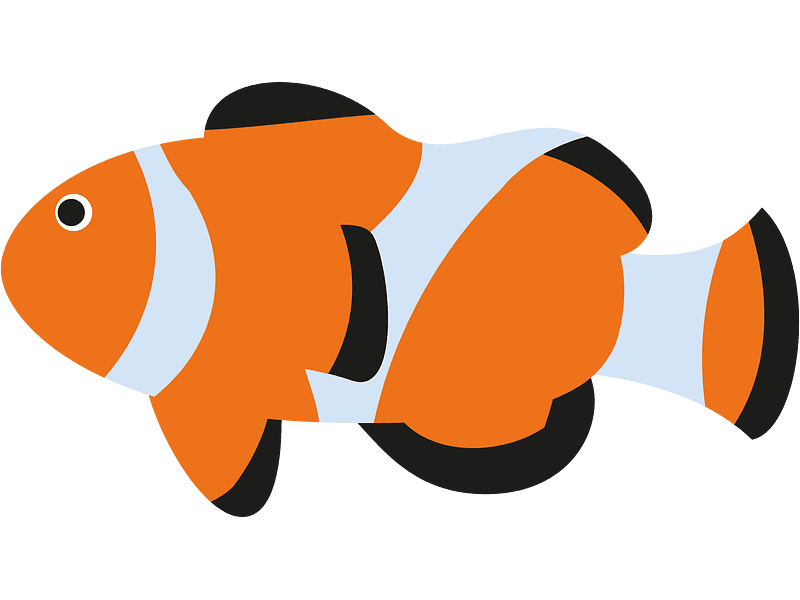 Clownfish Clipart Transparent Png