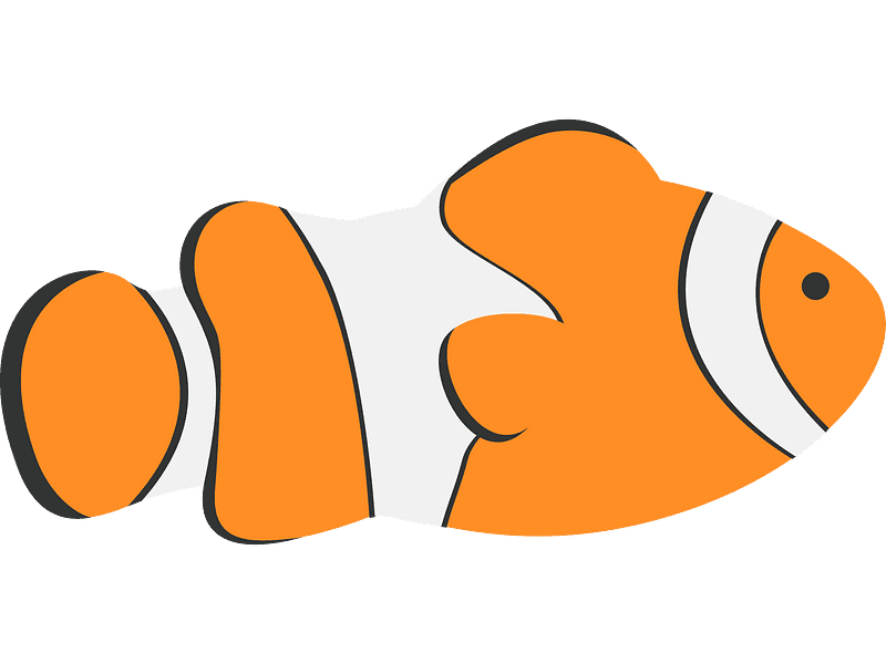 Clownfish Clipart Transparent