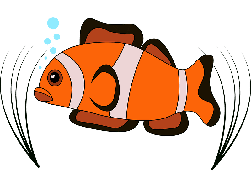 Clownfish Free Clipart Transparent
