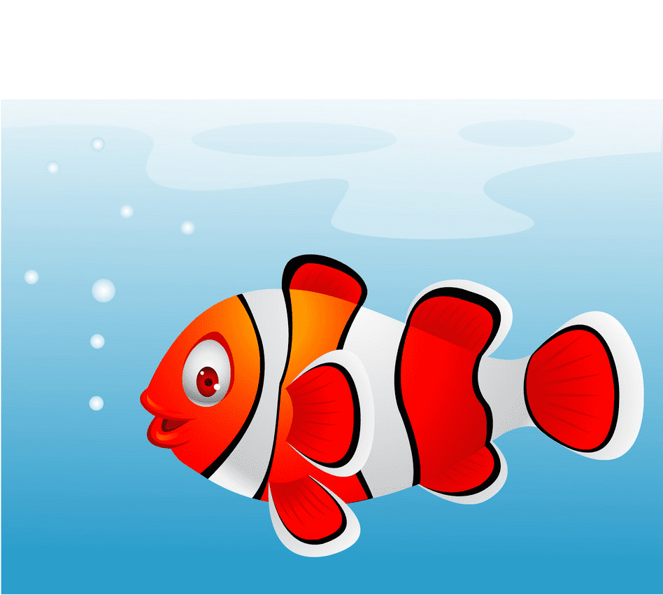 Clownfish Png Clipart