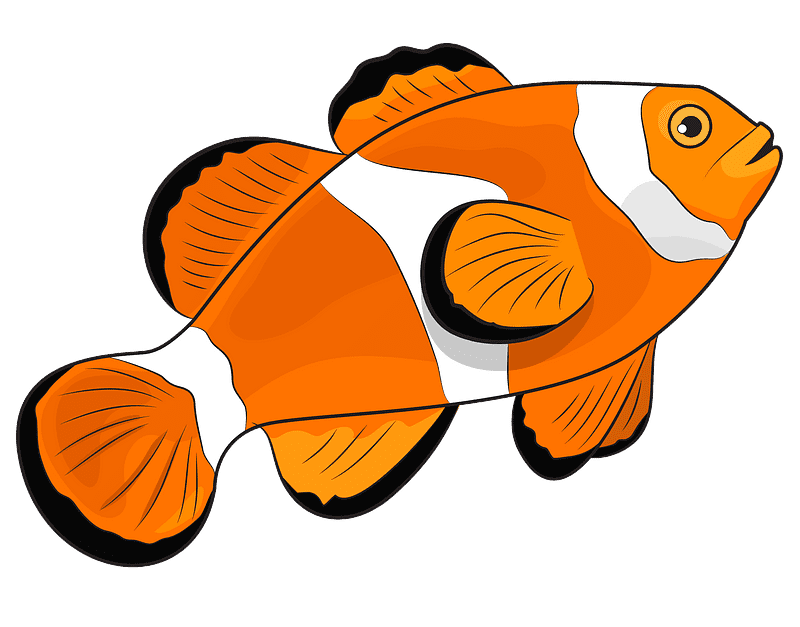 Clownfish Transparent Clipart For Free