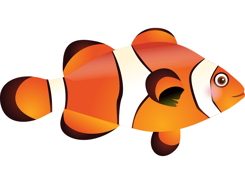 Clownfish Transparent Clipart Image