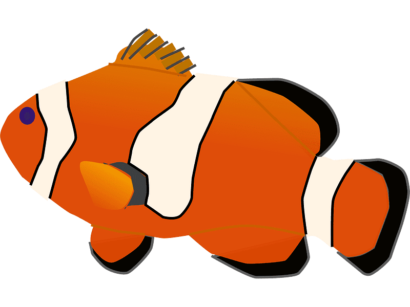 Clownfish Transparent Clipart Images