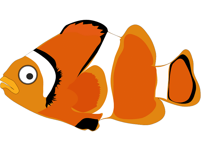 Clownfish Transparent Clipart